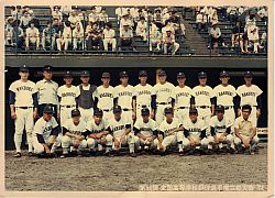 56(1974Nj